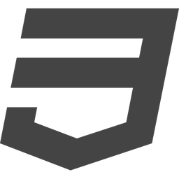 CSS logo